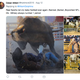 Illustration for article titled Suspected Mail Bomber Cesar Sayoc Has Sports Takes